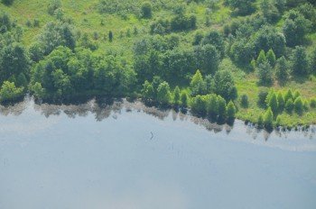 Property photo 22 - 1,025 Acres in 24 Tracts - Exellent Recreation Opportunity - Potential Building Sites - 11 Lakes & Ponds